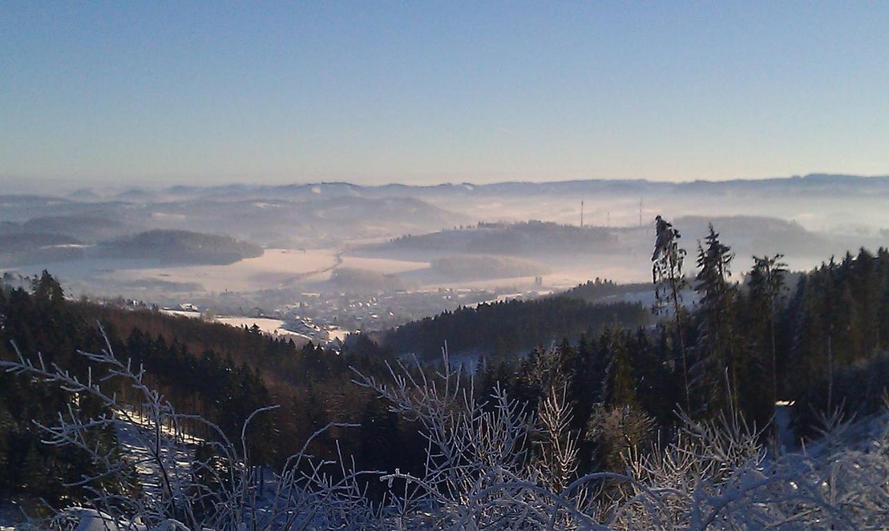 Schultenhof Balve Экстерьер фото